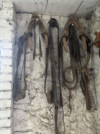 Aperos de labranza antiguos