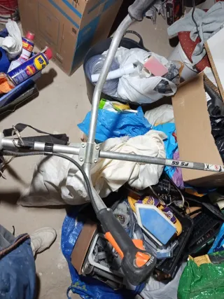 Desbrozadora Stihl FS 55