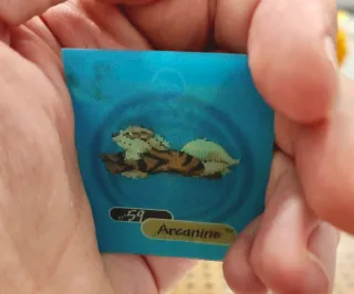 Carte Pokemon Growlithe Arcanine Lenticolare3DYoga