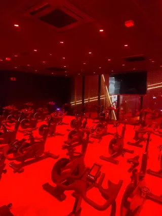 Electricista profesional