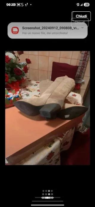 Stivali alti beige/marrone