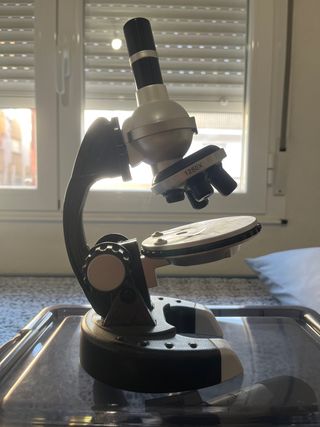 Microscopio 1250x aumentos