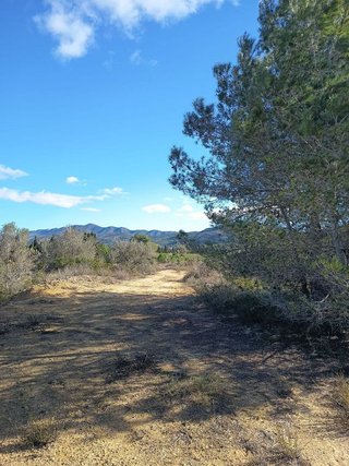 Terreno en venta en Ulldecona