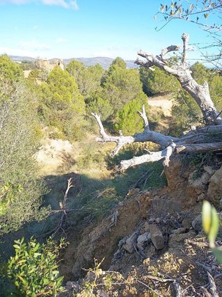 Terreno en venta en Ulldecona