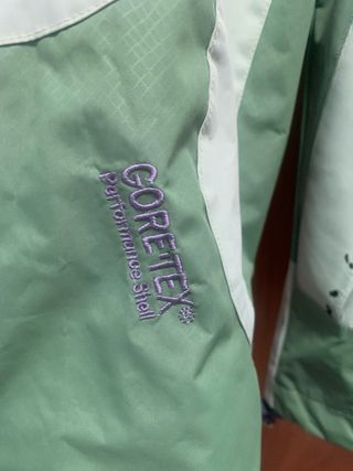 Chaqueta The North Face Gore-Tex Verde
