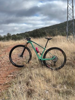 Bicicleta coluer Poison