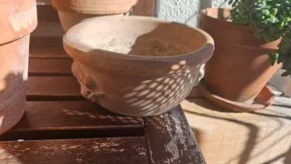 Set di vasi in terracotta Totale 8