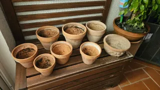 Lote de macetas de barro Total 8