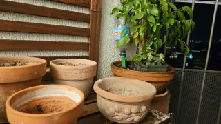 Lote de macetas de barro Total 8