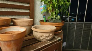 Lote de macetas de barro Total 8