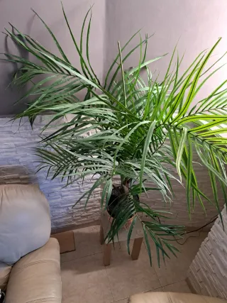 Planta Artificial Palmera Decorativa