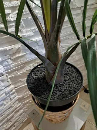 Planta Artificial Palmera Decorativa