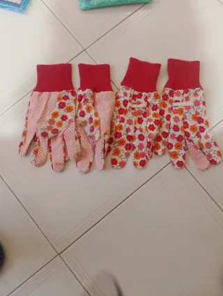 N2 paia guanti da giardinaggio