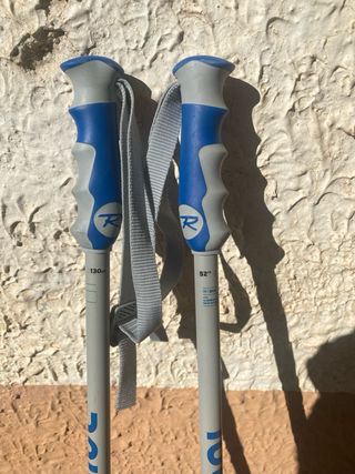 Bastones esqui alpino