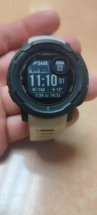 Garmin Instinct 2