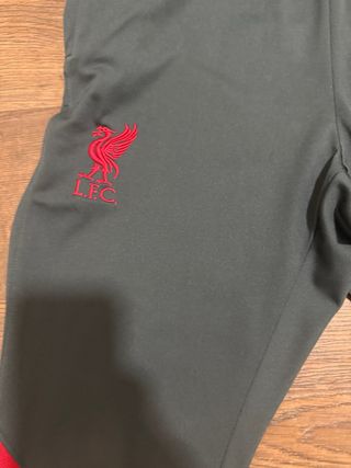 Pantalón Liverpool Nike Gris