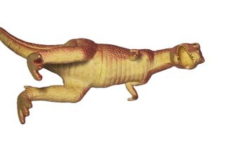 Dinosauro Tyrannosaurus Rex