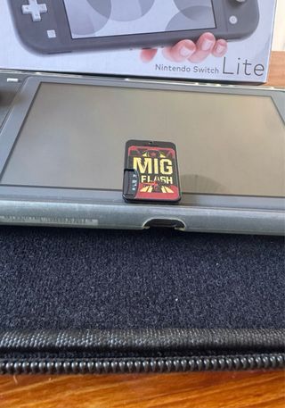 Nintendo Switch Lite Gris