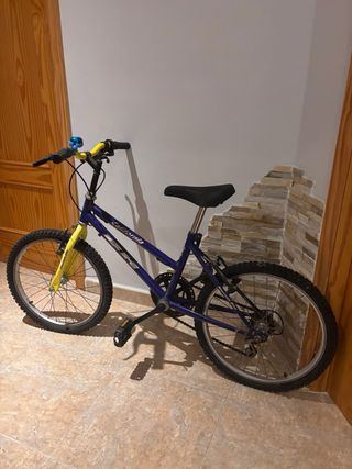 Bicicleta D20 Azul y Amarilla