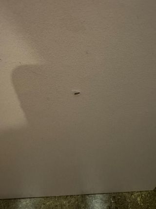 Escritorio rosa de madera y plástico