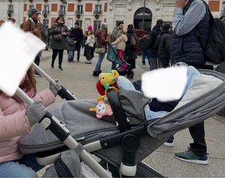 Bugaboo Fox Classic Silla Paseo