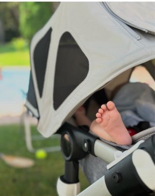 Bugaboo Fox Classic Silla Paseo