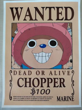 Poster One Piece Tela Nuovi