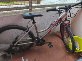 Bicicleta de montaña Active Fastalu