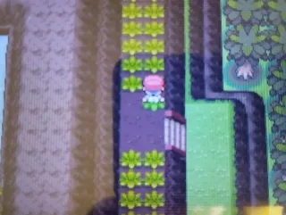 Pokémon Platino Español Nintendo DS