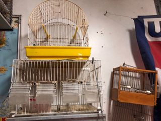 Jaulas para pájaros y pajareras.