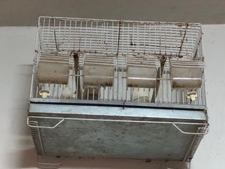 Jaulas para pájaros y pajareras.