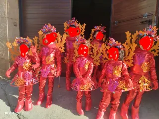 Costumi di Carnevale: cavallucci marini e granchi