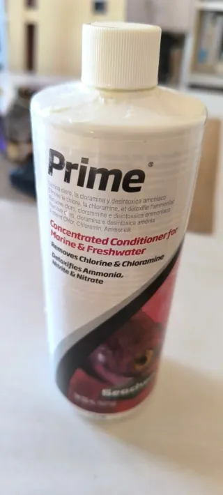 Kit Acuario Completo Transparente con accesorios