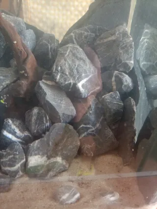 Roca para acuario Sera Rock Quartz 3 euros el kg