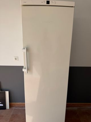 Nevera Liebherr 1.84m x 60cm