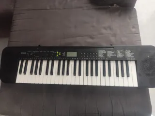 Teclado Casio CTK-240