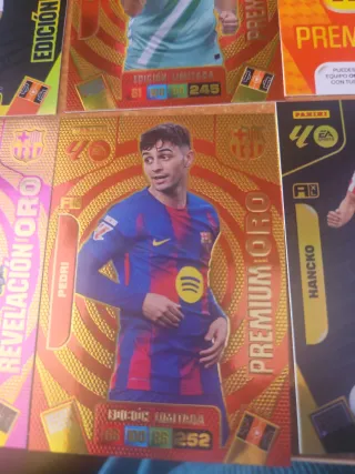 Lote 14 cromos Panini LaLiga 2025/2026