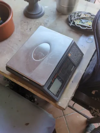 Báscula GRAM Z-FOC