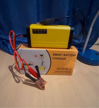 Cargador Inteligente Batería Coche 12V