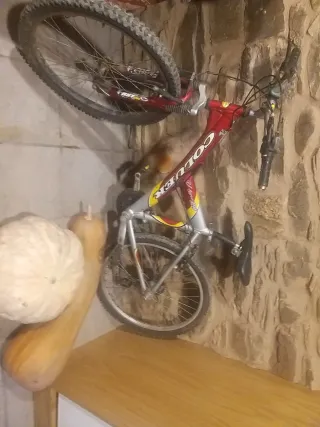 Bicicleta de montaña COLUER