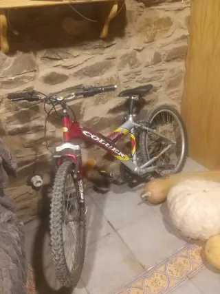 Bicicleta de montaña COLUER
