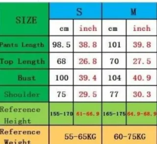 Chándal AC Milan 25/26 Puma