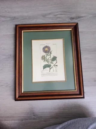 Quadro Botanico Cornice Legno