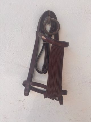 Cabezal de caballo de cuero y pechopetral