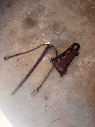 Cabezal de caballo de cuero y pechopetral