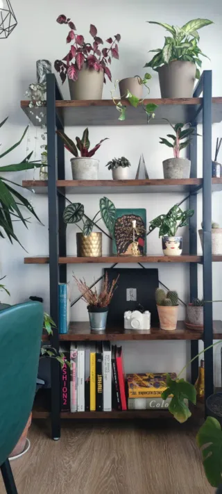 Estantería librería Vasagle 5 estantes Madera y Hi