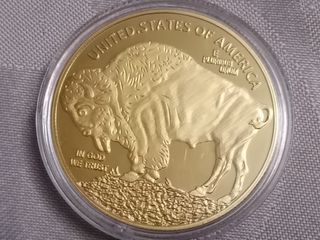 Moneda Indio y Búfalo Americano 2024