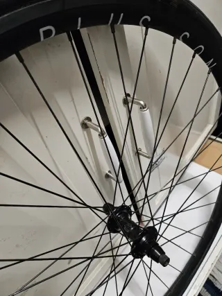 ⭕️ HPLUS X KING ⭕️