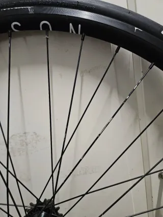 ⭕️ HPLUS X KING ⭕️