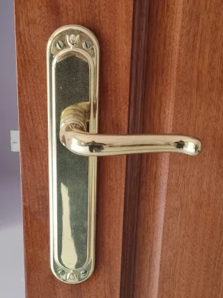 Puerta de madera interior con molduras